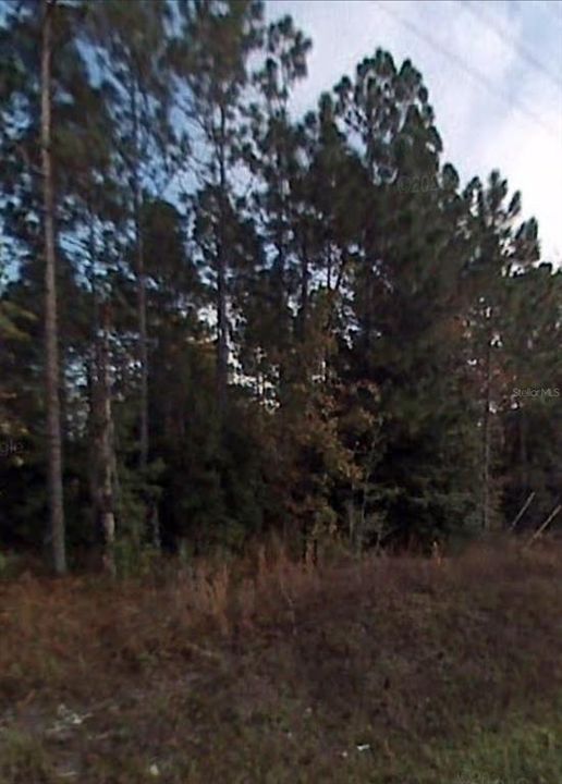 Vendido Recientemente: $16,999 (0.24 acres)