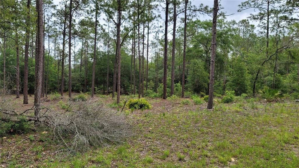 Recently Sold: $41,500 (1.01 acres)