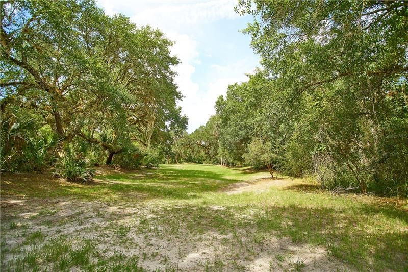 Recently Sold: $225,000 (5.00 acres)