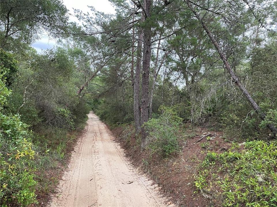 Quiet road is narrow, dirt road - CHANWAY ROAD.