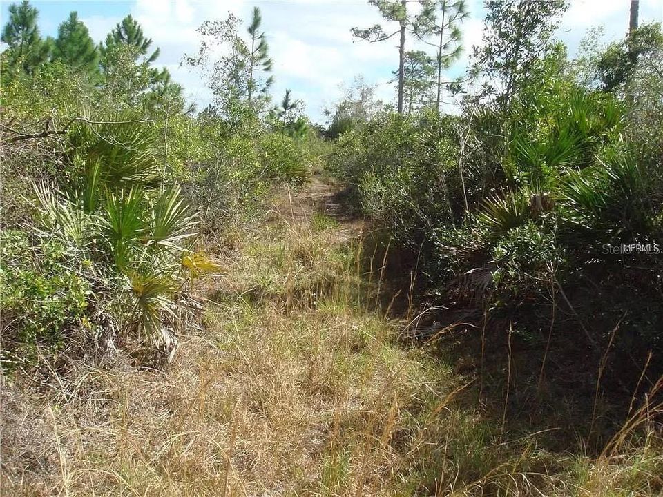 Recently Sold: $55,000 (0.41 acres)