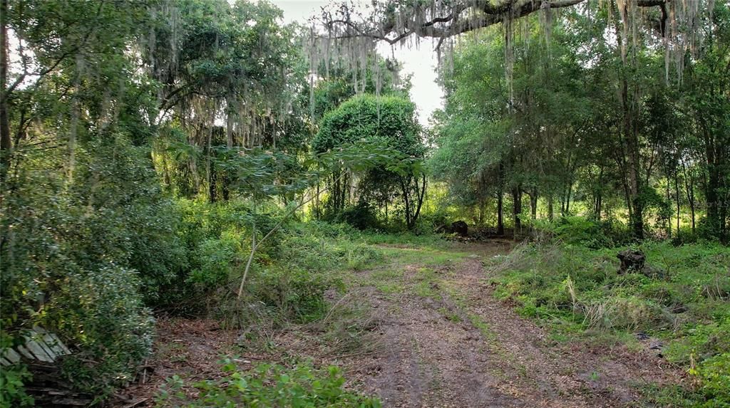 Recently Sold: $145,000 (5.13 acres)