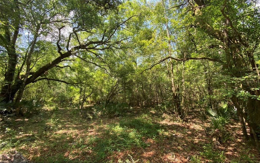 Vendido Recientemente: $125,000 (24.81 acres)