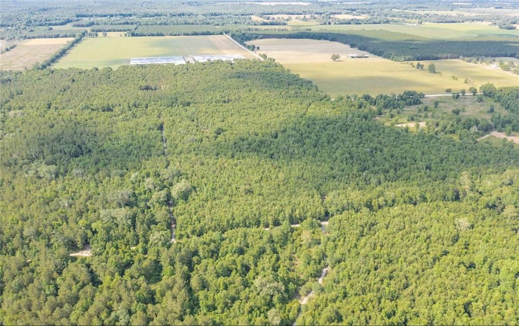 Recently Sold: $125,000 (24.81 acres)