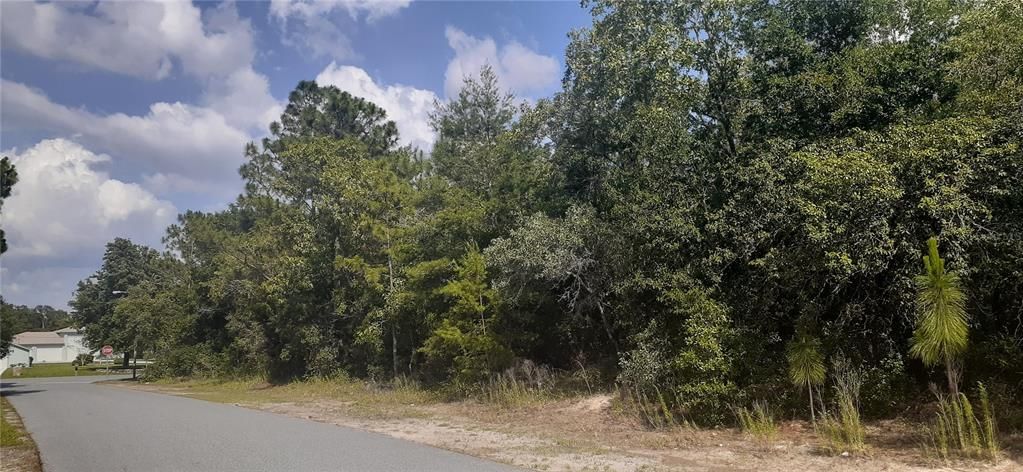 Active With Contract: $120,900 (1.11 acres)