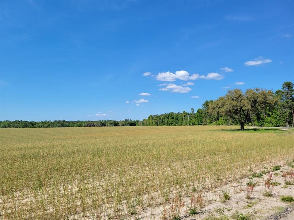 Recently Sold: $199,900 (10.96 acres)