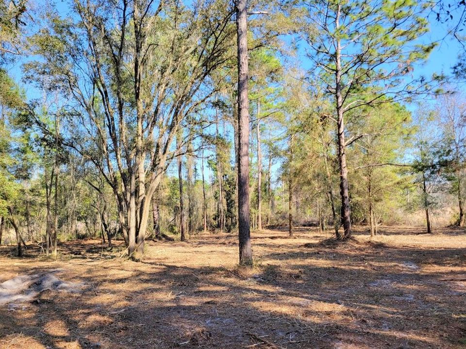 Recently Sold: $174,900 (10.02 acres)