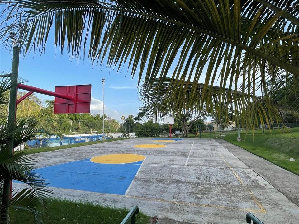 Basketball  Court Common area