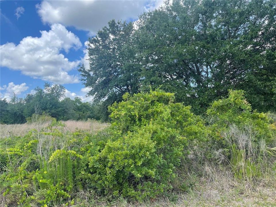 Recently Sold: $15,000 (0.24 acres)