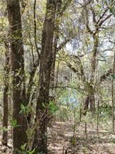 Recently Sold: $19,000 (0.21 acres)