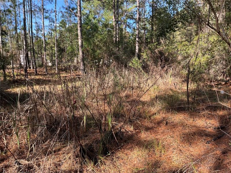 Active With Contract: $16,500 (0.23 acres)