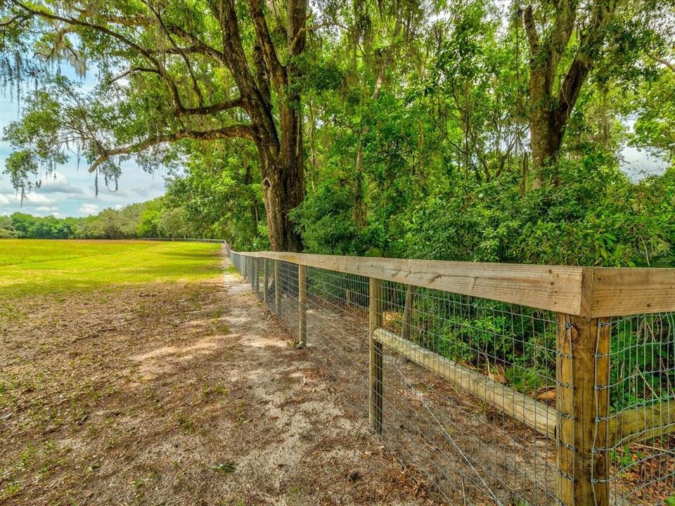 ALONG THE REAR FENCE LINE