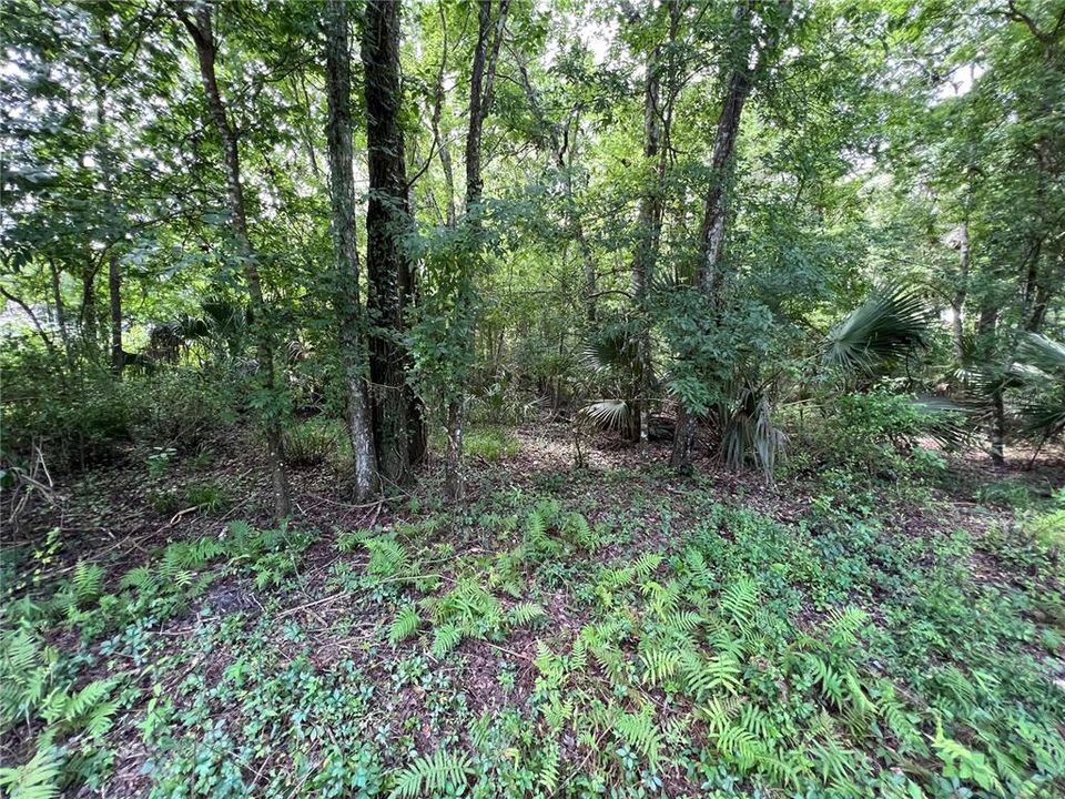 Recently Sold: $19,500 (0.91 acres)