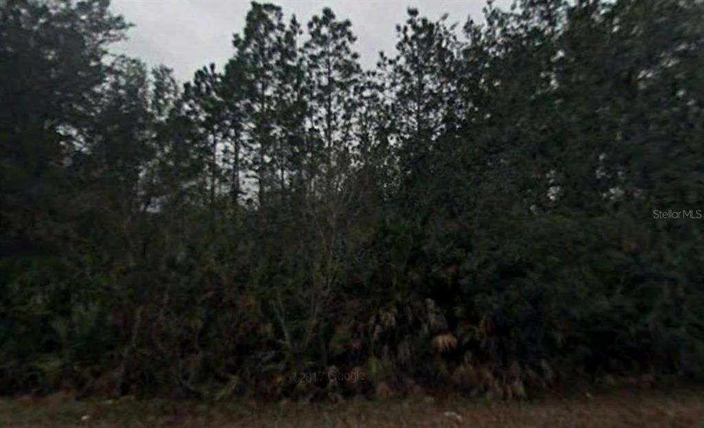 Recently Sold: $11,000 (0.30 acres)