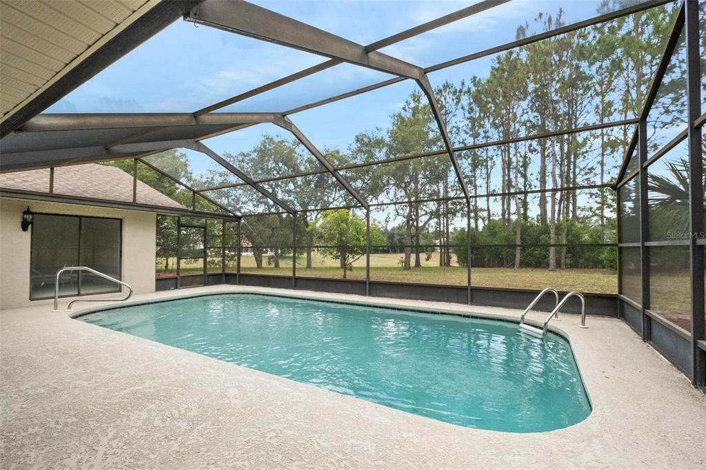 Pool with Screen Enclosure