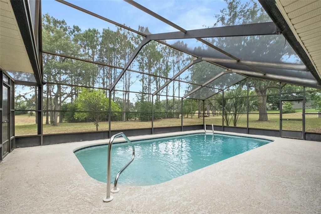 Pool with Screen Enclosure