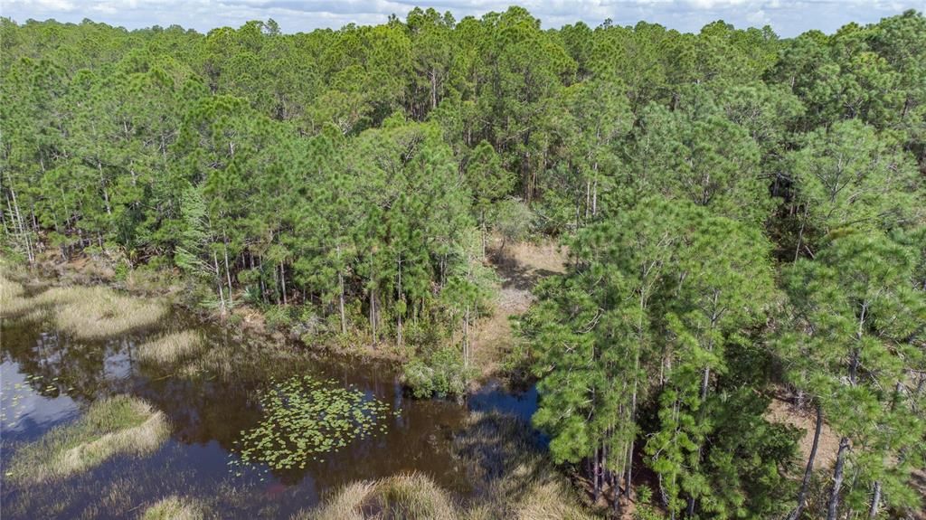 Recently Sold: $149,900 (6.35 acres)