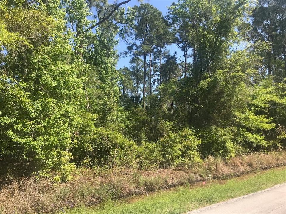 Recently Sold: $35,000 (0.17 acres)