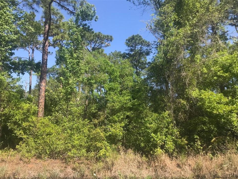 Recently Sold: $35,000 (0.17 acres)