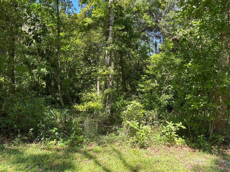 Recently Sold: $20,000 (0.31 acres)