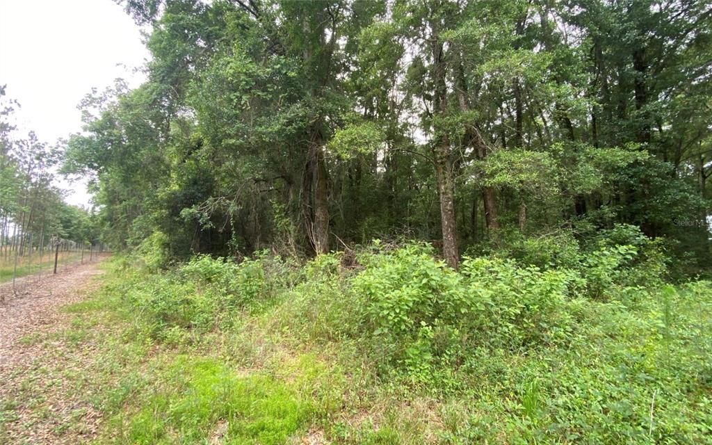 Recently Sold: $80,000 (10.95 acres)