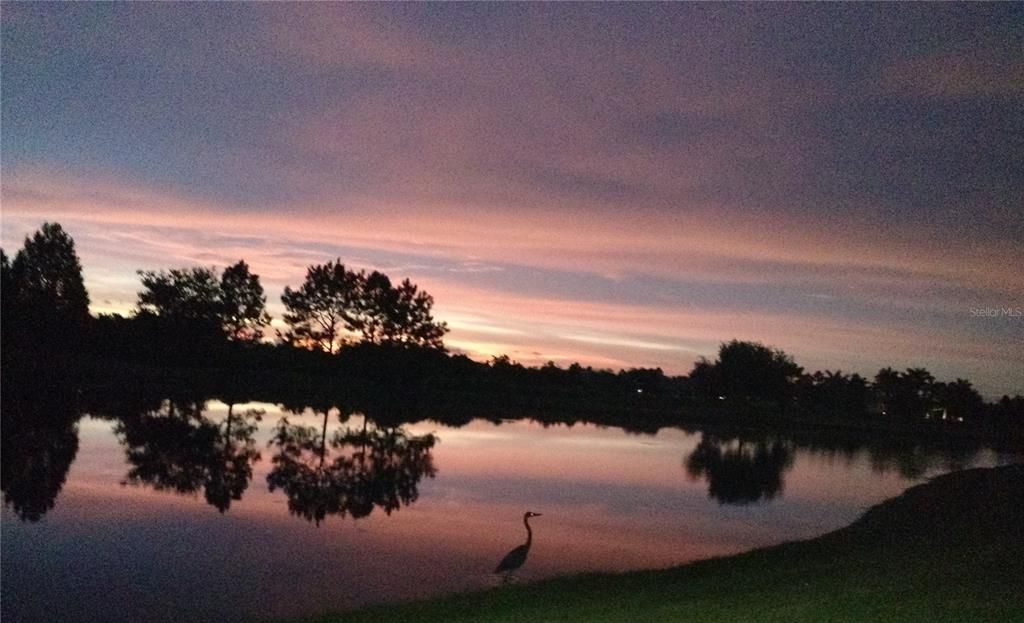 Sunset reflections over a Lakewood Ranch Pond