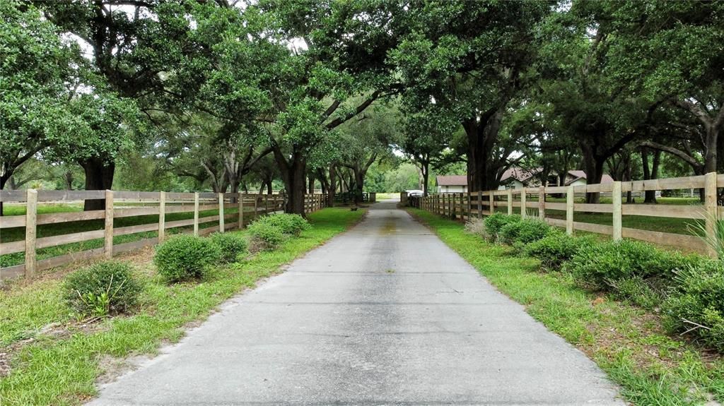 Beautiful Entry Lane