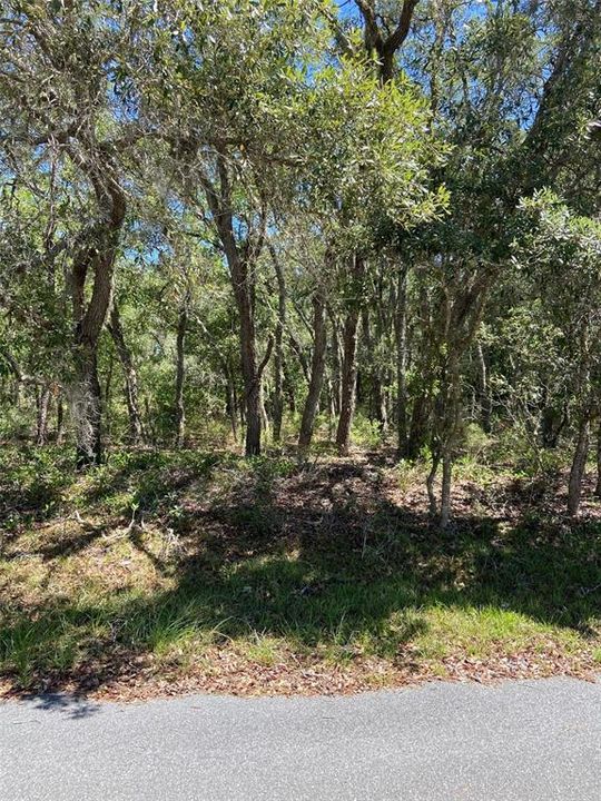 Vendido Recientemente: $40,000 (1.59 acres)