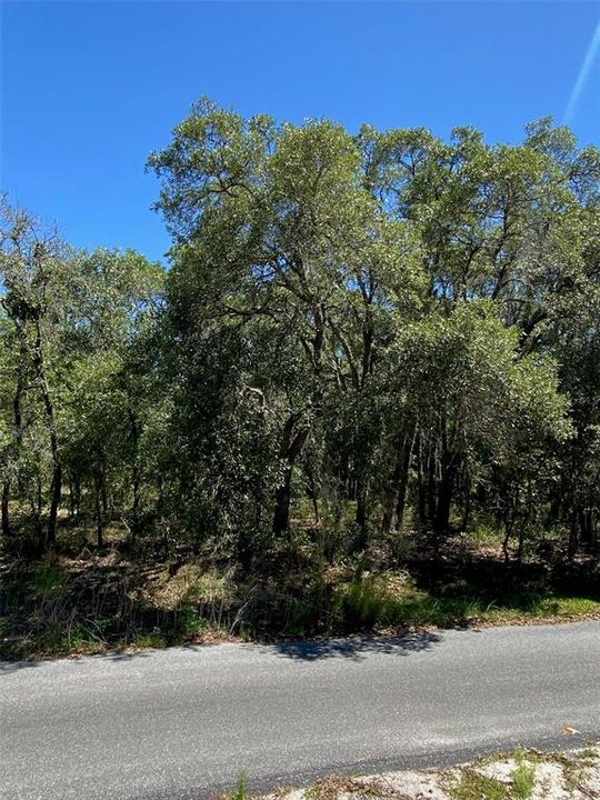 Recently Sold: $40,000 (1.59 acres)