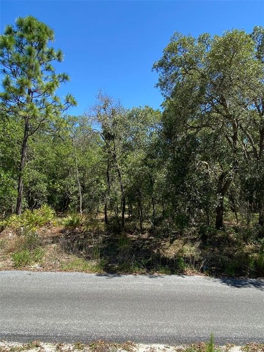 Recently Sold: $40,000 (1.59 acres)