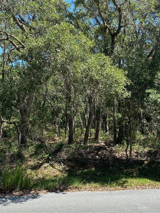 Recently Sold: $40,000 (1.59 acres)