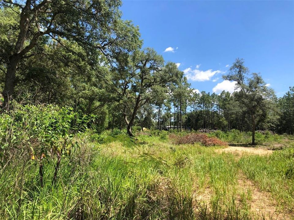 Recently Sold: $45,000 (1.94 acres)