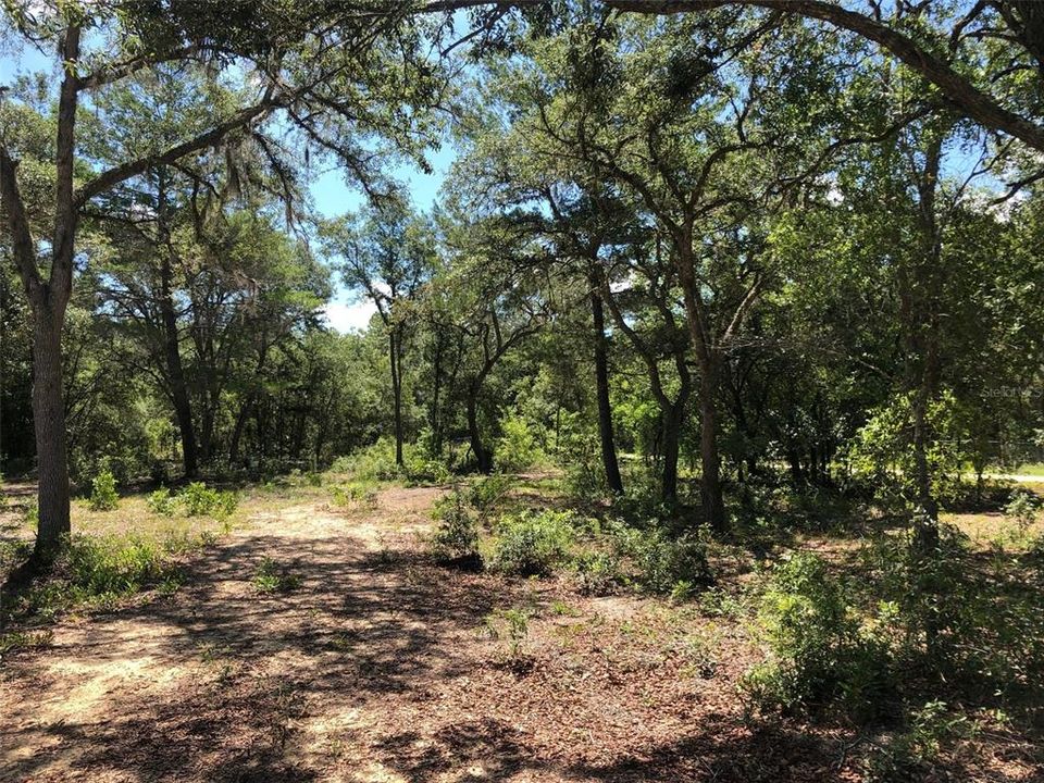 Recently Sold: $45,000 (1.94 acres)