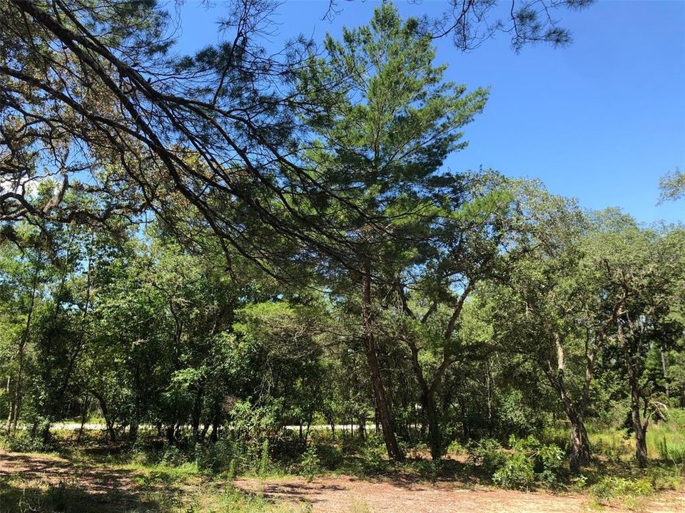 Recently Sold: $45,000 (1.94 acres)