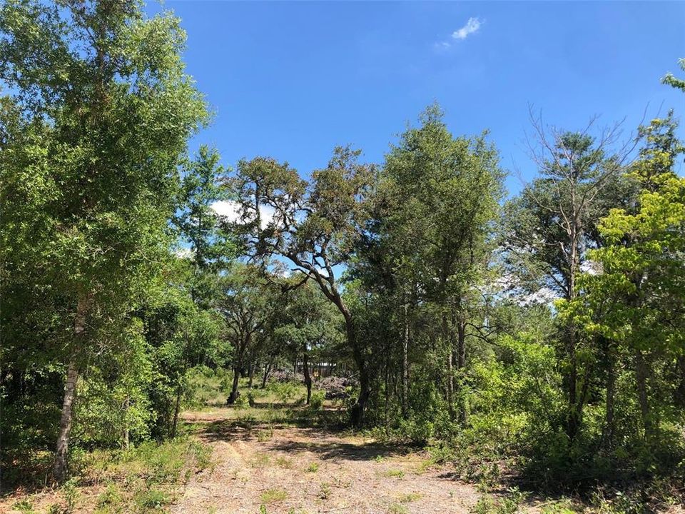 Recently Sold: $45,000 (1.94 acres)