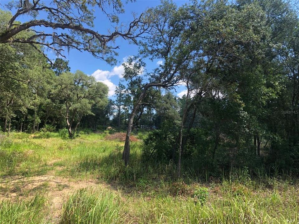 Recently Sold: $45,000 (1.94 acres)