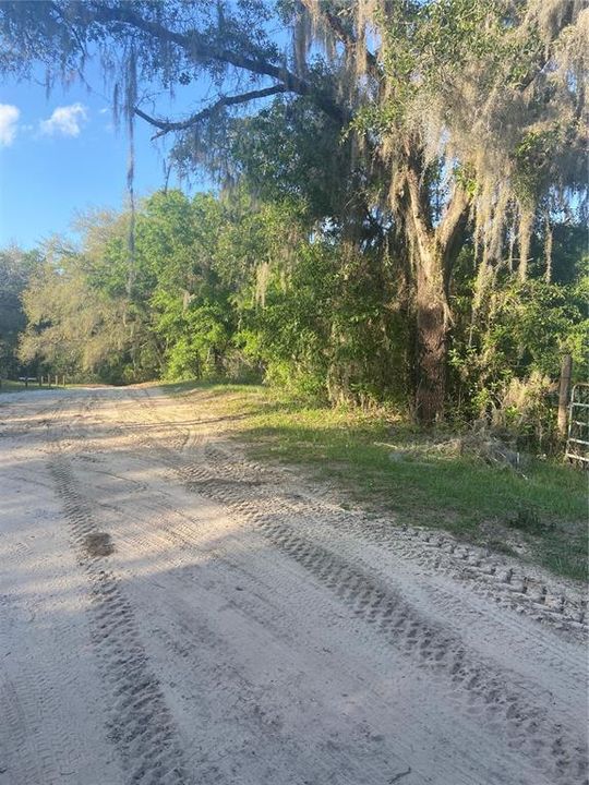 Vendido Recientemente: $92,500 (6.95 acres)