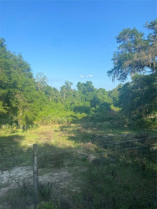 Recently Sold: $92,500 (6.95 acres)