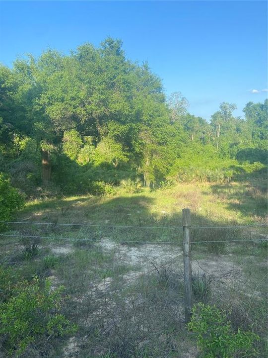 Recently Sold: $92,500 (6.95 acres)