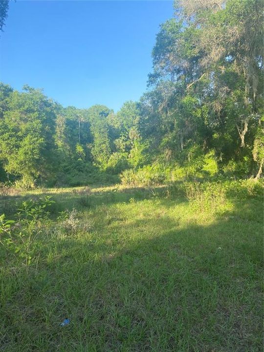 Recently Sold: $92,500 (6.95 acres)