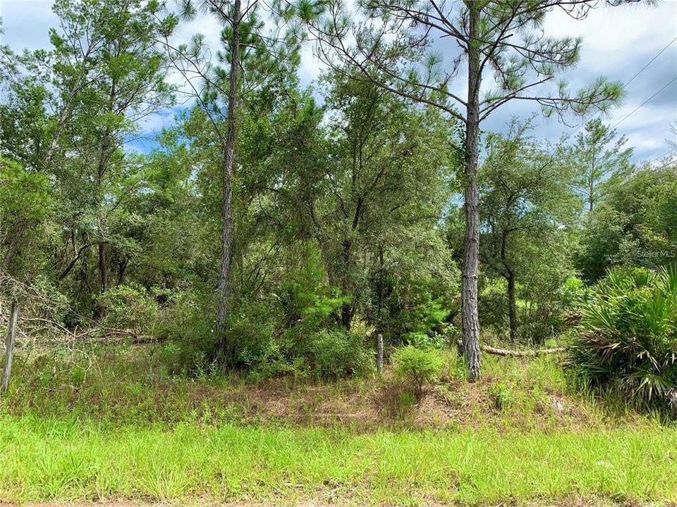 Recently Sold: $21,900 (0.41 acres)