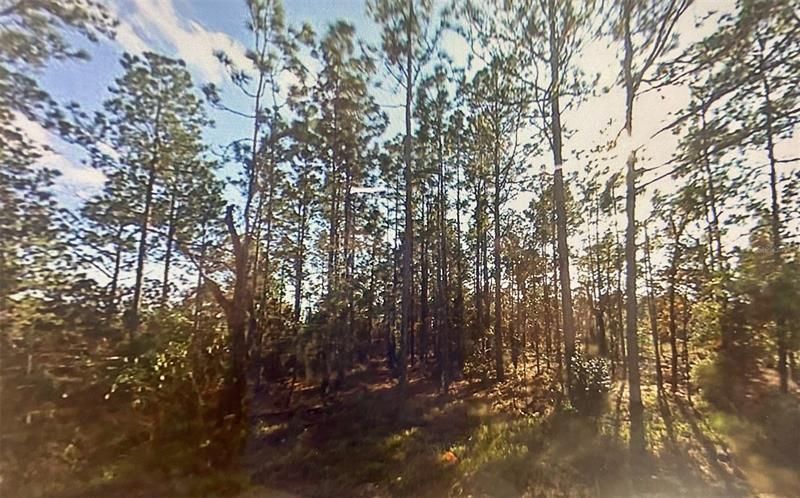 Vendido Recientemente: $49,000 (2.38 acres)