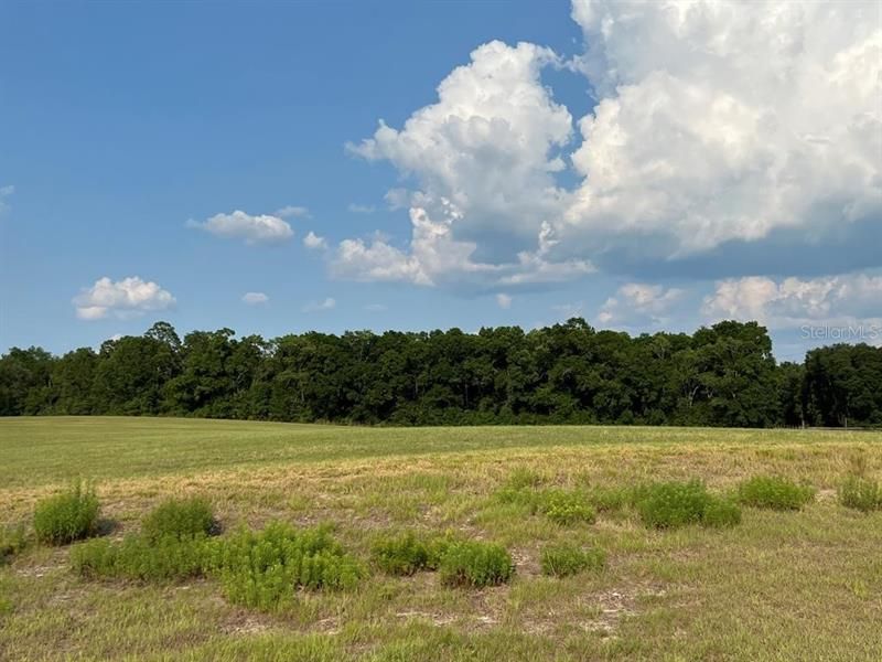 Recently Sold: $61,900 (5.00 acres)