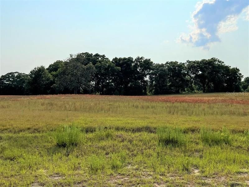 Recently Sold: $61,900 (5.00 acres)