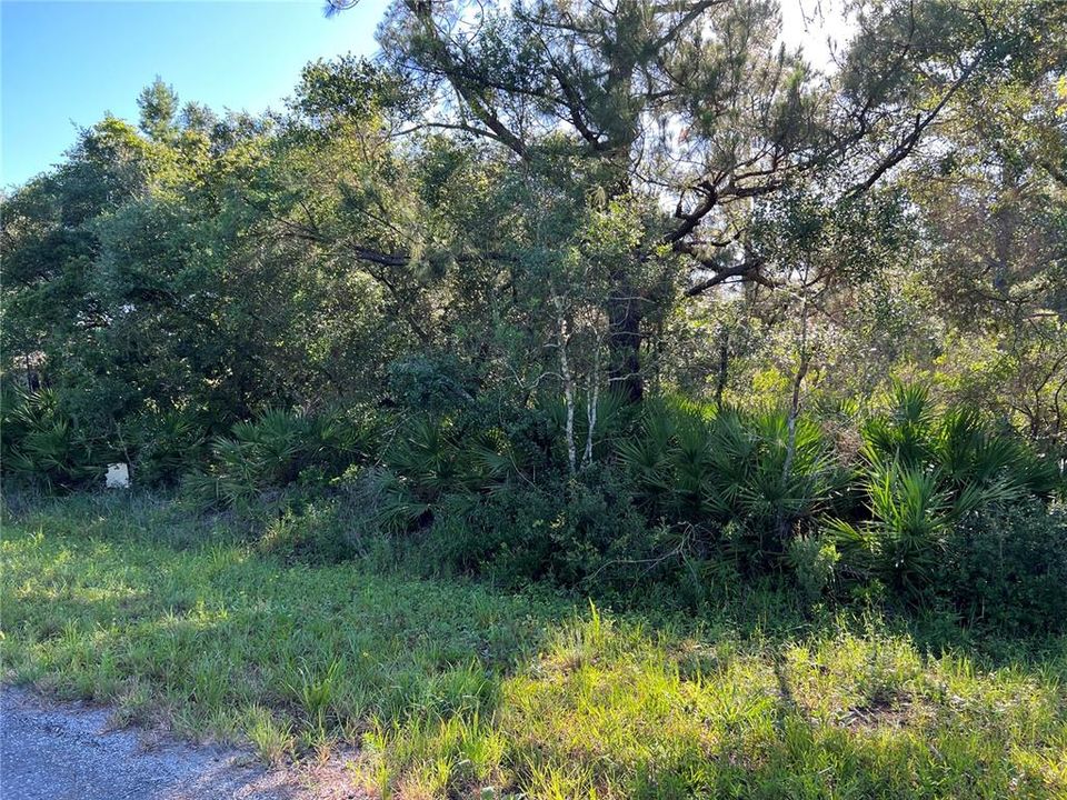 Recently Sold: $49,900 (1.00 acres)