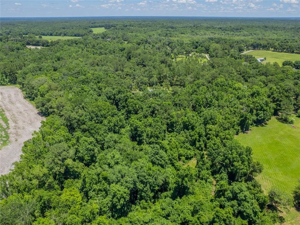 Недавно продано: $49,000 (3.28 acres)