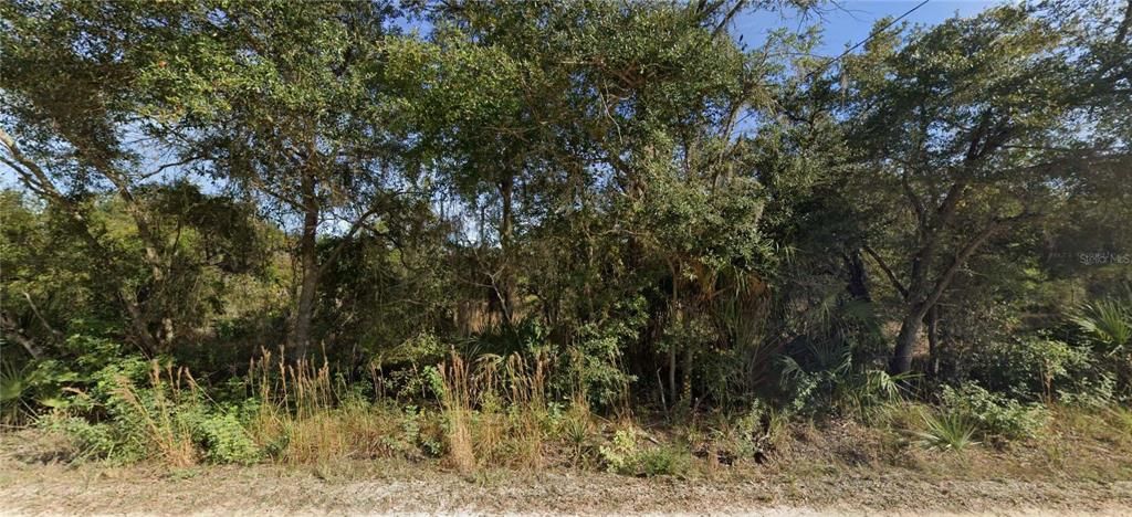 Recently Sold: $94,000 (4.59 acres)