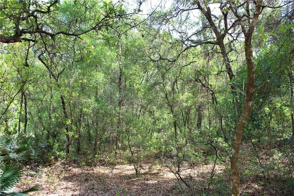 Recently Sold: $23,900 (1.16 acres)
