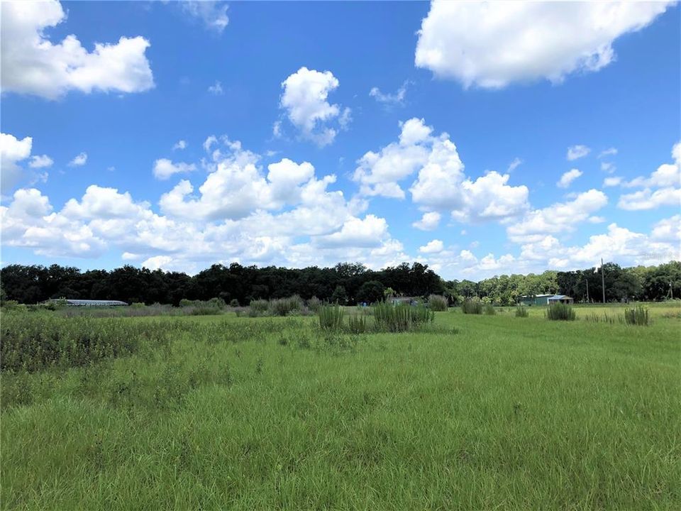 For Sale: $480,000 (11.21 acres)