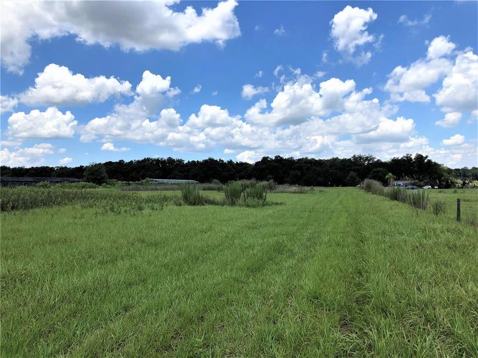 For Sale: $480,000 (11.21 acres)